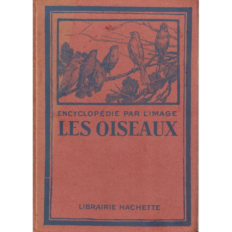 Encyclopédie par l'image - les oiseaux
