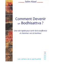 Comment devenir un Bodhisattva ? abe 14.17 Comment devenir un...