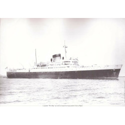 La guerre d'Algérie 54 - 62 la Toussaint rouge