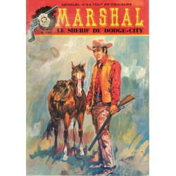 Marshal n 2