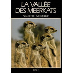 La vallée des meerkats