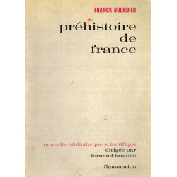 préhistoire de france